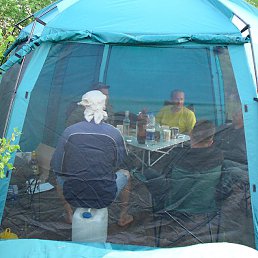 ���������, �����, 55 ���