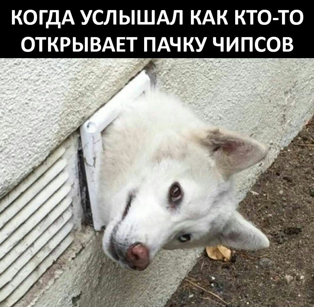    - 26  2023  07:25
