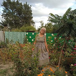 �������, ������, 65 ���