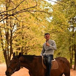 ���� ������, ����, 39 ��� - ��������� 11 ������� 2023