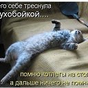 ���� ����, ������, 54 ���� - ��������� 24 ������� 2023