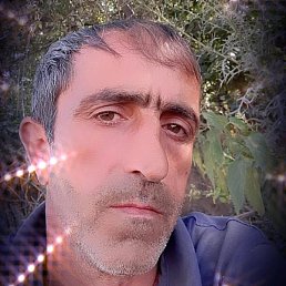 ������, ���������, 48 ���