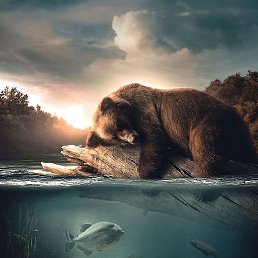 ����, �����, 39 ���