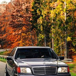 ����, �������, 44 ����