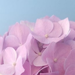 ������, ����, 47 ���