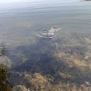 ���� ���������, ���������, 40 ��� - ��������� 4 ������� 2023