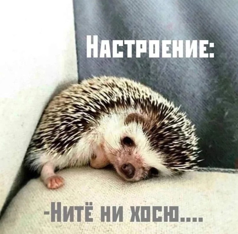   - 14  2023  22:37