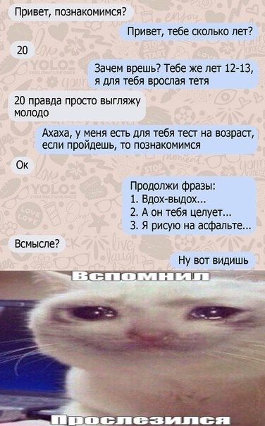 ☆   ☆ - 14  2023  08:07