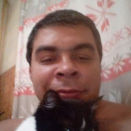 ������, ������, 43 ����