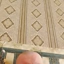 ���� �������, �����-���������, 49 ��� - ��������� 24 ���� 2023 � ������ ���� ����������