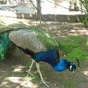 ���� �������, ������, 55 ��� - ��������� 17 ��� 2023