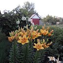  , , 64  -  8  2023    