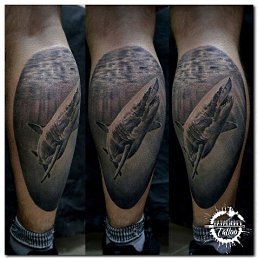 ���� �������, ����, 43 ���� - ��������� 8 ����� 2023