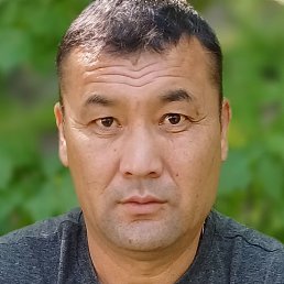 ������, �������, 48 ���