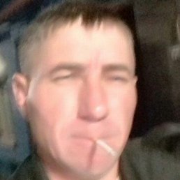 �������, ������, 37 ���