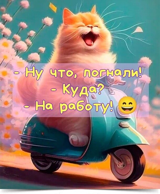 >^..^<