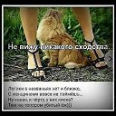���� ������, �����������, 49 ��� - ��������� 19 �������� 2023 � ������ ���� ����������
