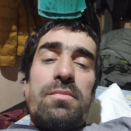 ��������, �����-���������, 38 ���