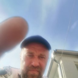 ����, ����, 46 ���