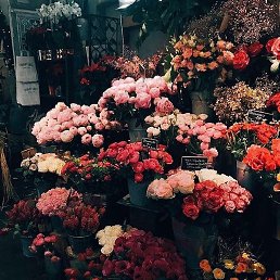 ������, ������, 30 ���