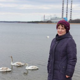 ���� �������, �����������, 68 ��� - ��������� 22 ������ 2023