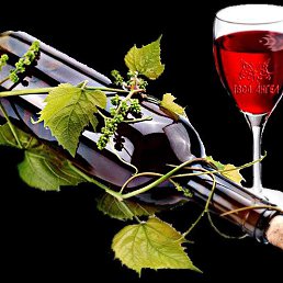 ���� ������, ������, 43 ���� - ��������� 22 ���� 2023