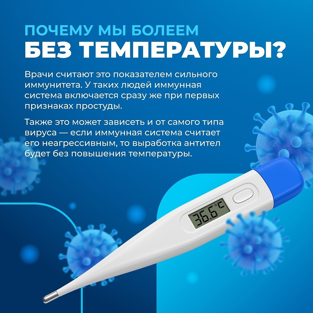    ,  -19  ?      ... - 2