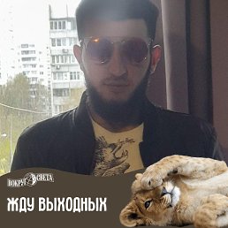 ���� �����, ��������, 29 ��� - ��������� 28 ���� 2023