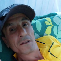 �����, ������, 49 ���