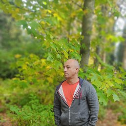 ����, ������-��-����, 52 ����