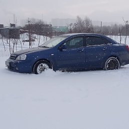 ����, �����-���������, 31 ���