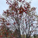 ���� �������, �����, 73 ���� - ��������� 5 ������� 2023