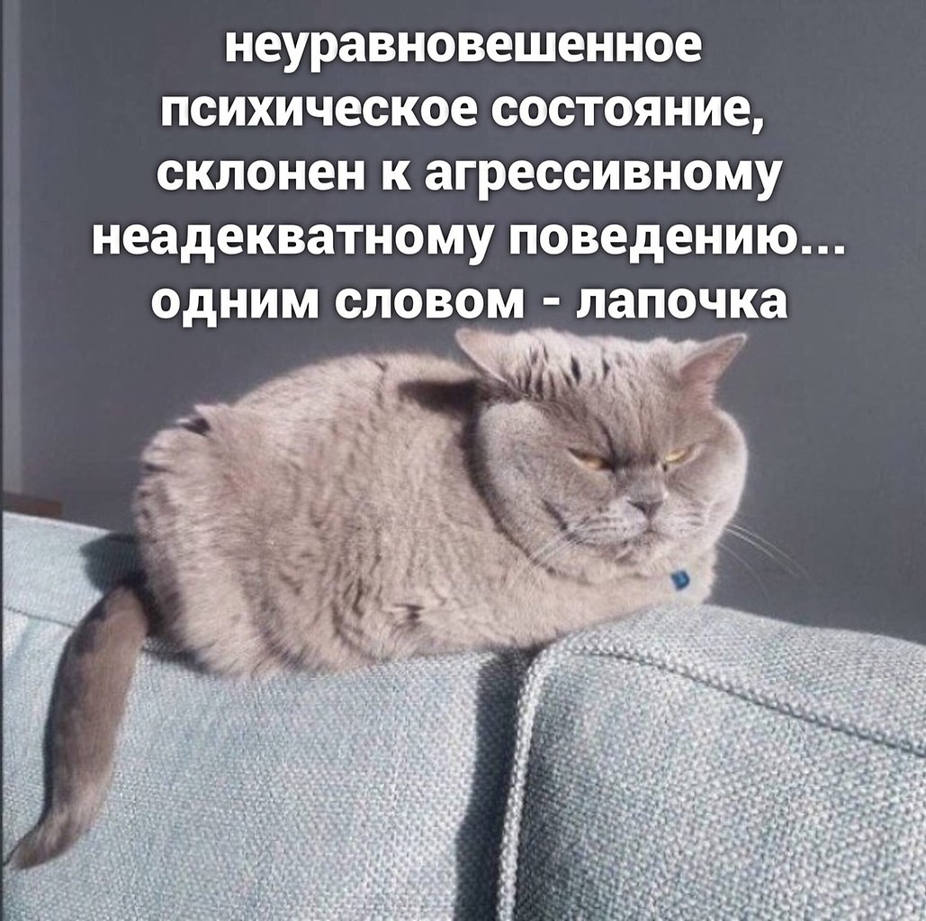    . - 4