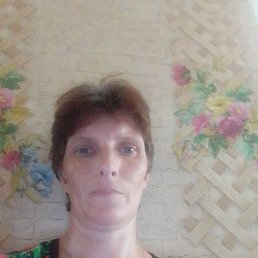 ���� ����, �����������, 41 ��� - ��������� 15 ���� 2023