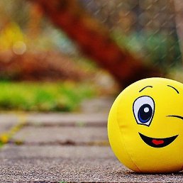 Alexander, ��������, 27 ���