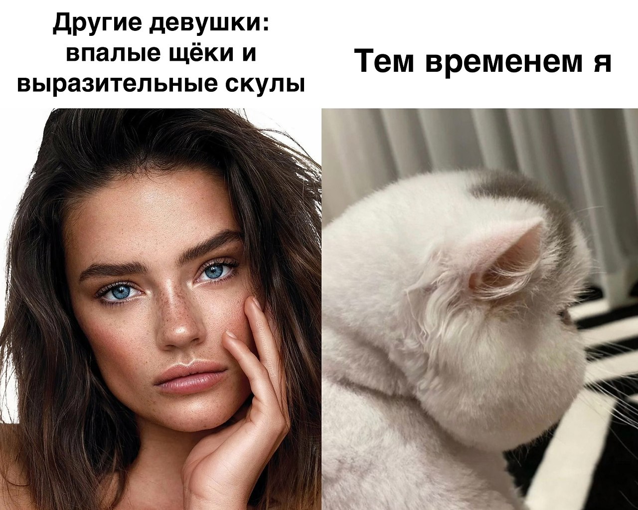    - 19  2023  03:24