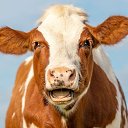 ���� ����, ����������, 50 ��� - ��������� 24 ������� 2023 � ������ ���� ����������