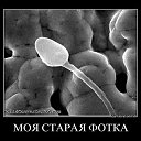 ���� �������� �����, ������ - ��������� 30 ������ 2023
