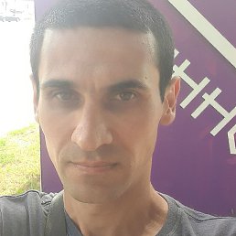 ����, ������, 41 ���