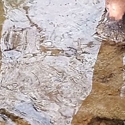 , , 50 