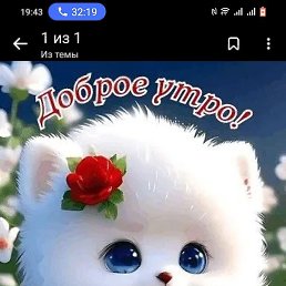 ���, ������, 51 ���