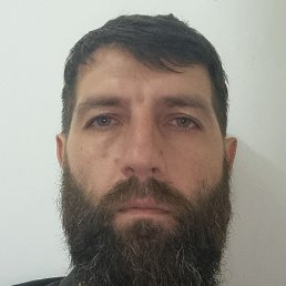 ����, �������, 40 ���