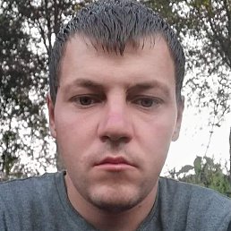 Tudor, �������, 28 ���