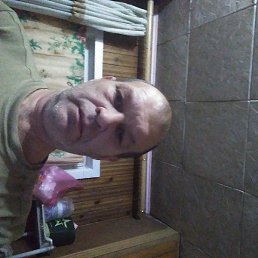 ������, ������, 51 ���