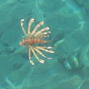 ���� Slava, ������ - ��������� 22 ��� 2023 � ������ ���� ����������