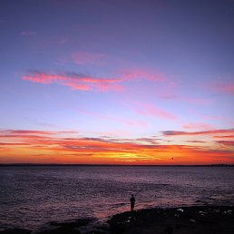 �������, ����������