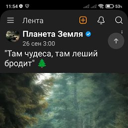 , , 49 