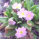 ���� Vera, ���������, 77 ��� - ��������� 25 ����� 2023 � ������ ���� ����������