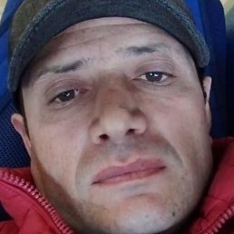 ������, ������, 41 ���