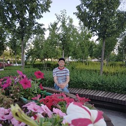 ��������, ���������, 46 ���